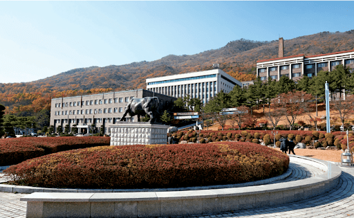Đại học Daejin